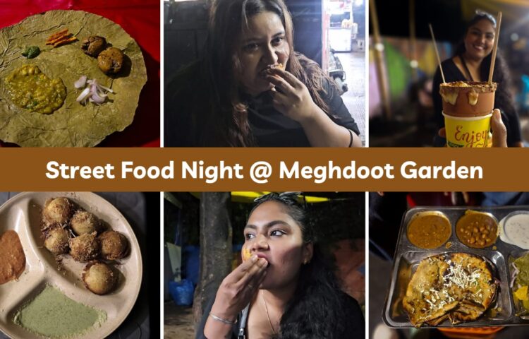 Meghdoot Garden Indore Street Food